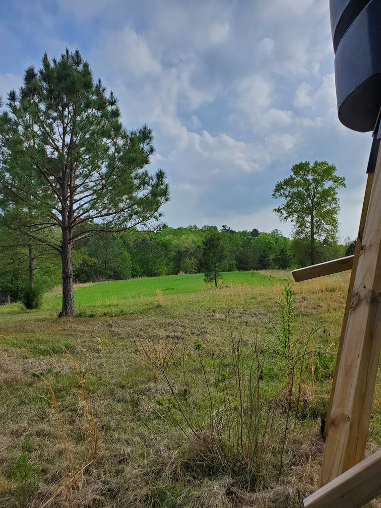 3838 Norman Road Hazlehurst, MS 39083 - Photo 68 of 69 Photo 68