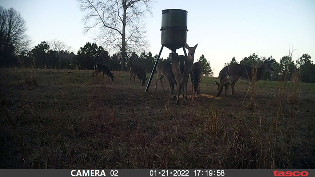 3838 Norman Road Hazlehurst, MS 39083 - Photo 7 of 69 Photo 7