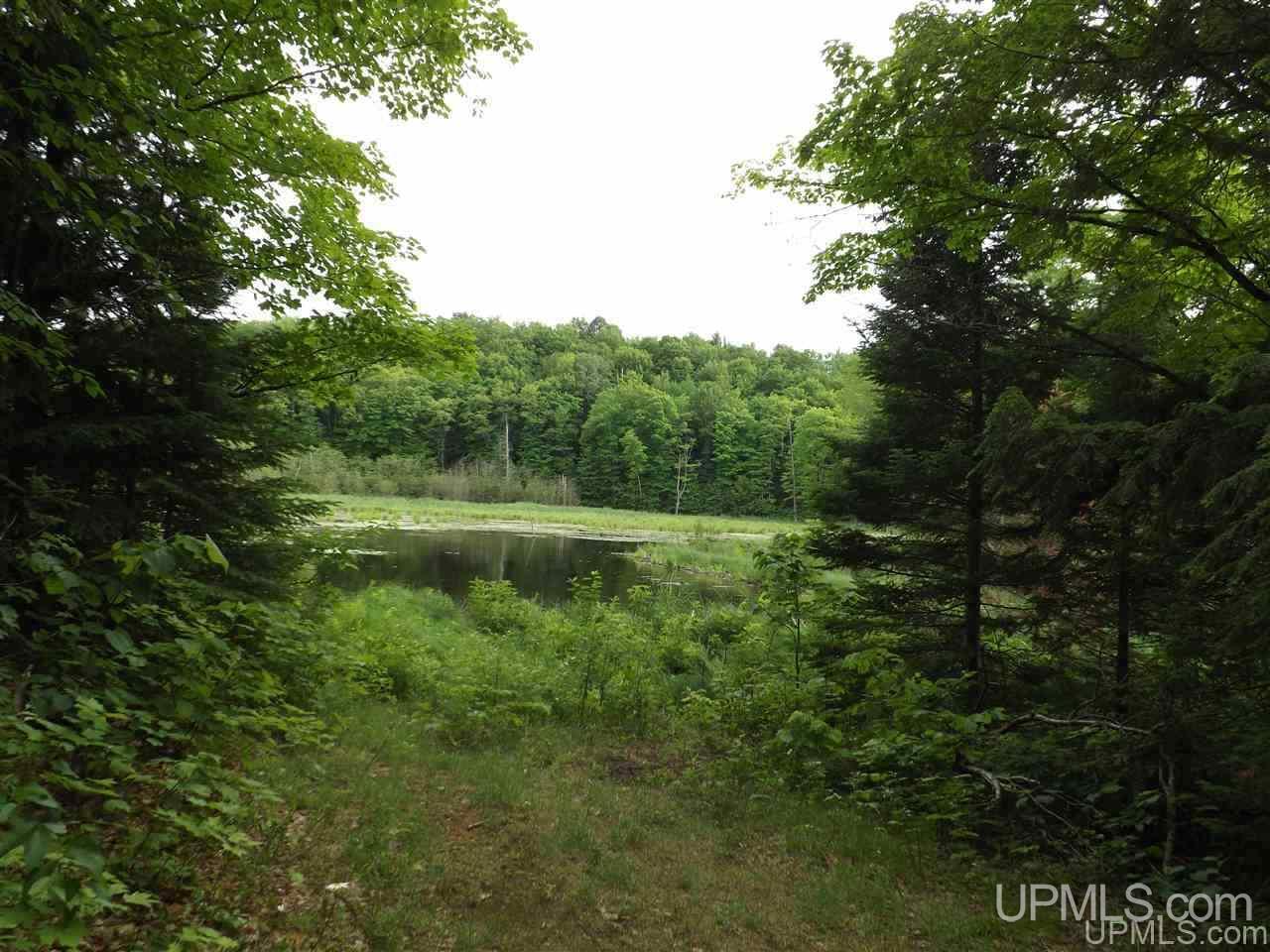 Tbd Off Indian Road Lanse, MI 49946 - Photo 14 of 14