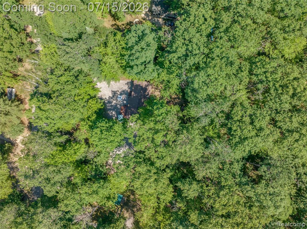 371 Dyer Road Rose City, MI 48654 - Photo 22 of 23 Gallery Image 22
