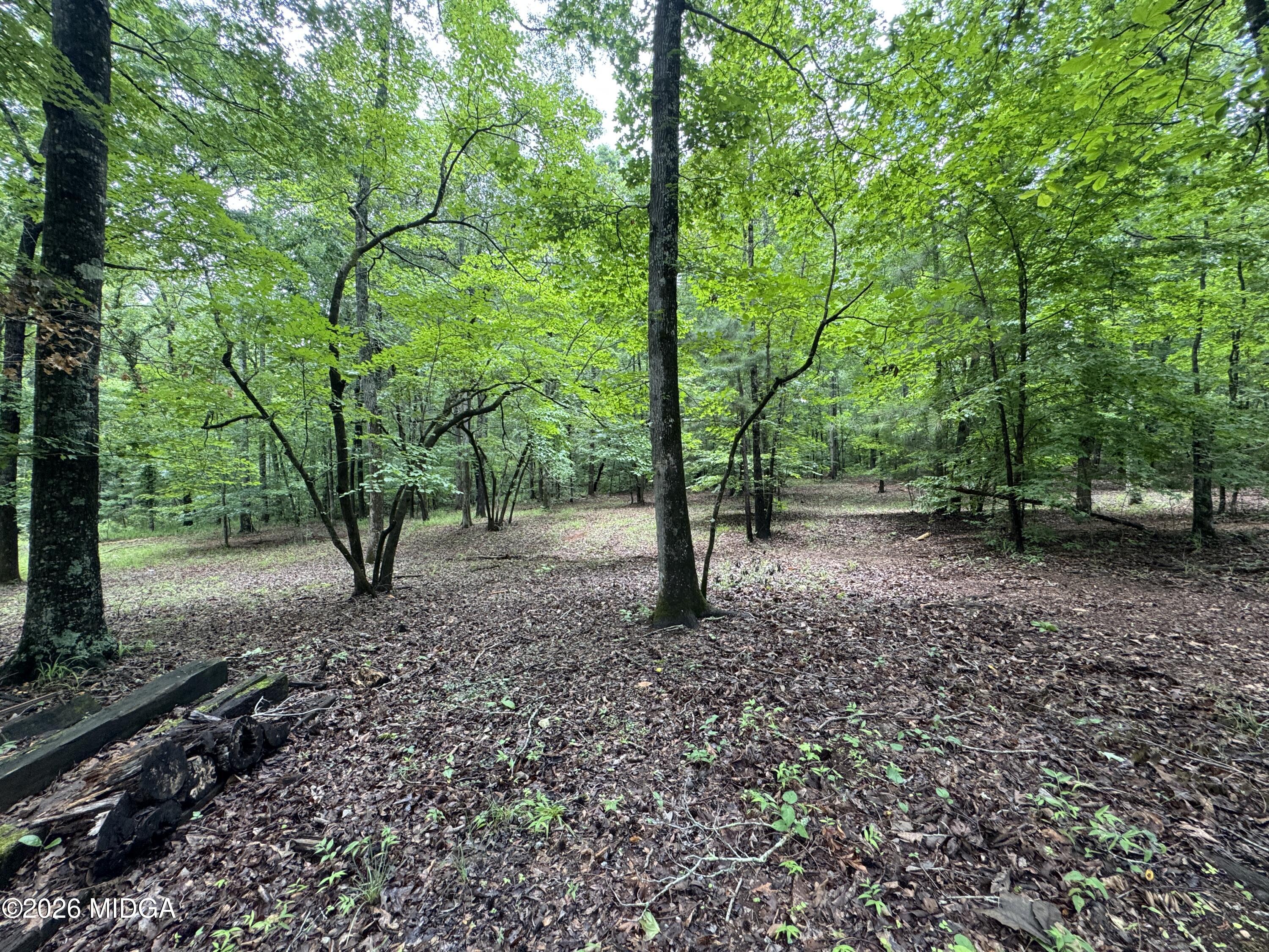 3413 Dames Ferry Road Forsyth, GA 31029 - Photo 9 of 23 8