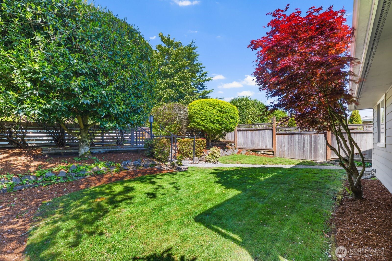 7508 30th Avenue Southwest Seattle, WA 98126 - Photo 37 of 39 a backyard of a house with lots of green space