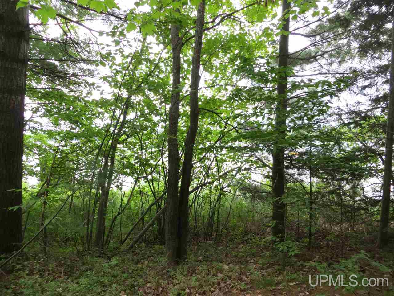 Tbd Ramsdam Road Manistique, MI 49854 - Photo 6 of 21 Gallery Image 6