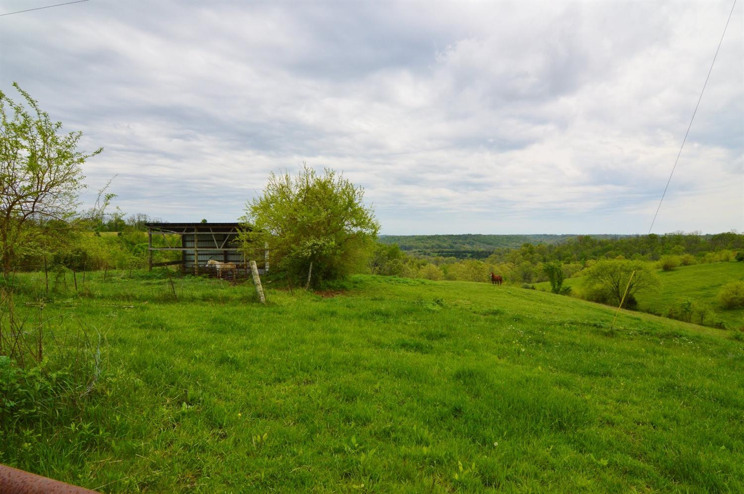 3561 Moffett Road Morning View, KY 41063 - Photo 5 of 8 Gallery Image 5