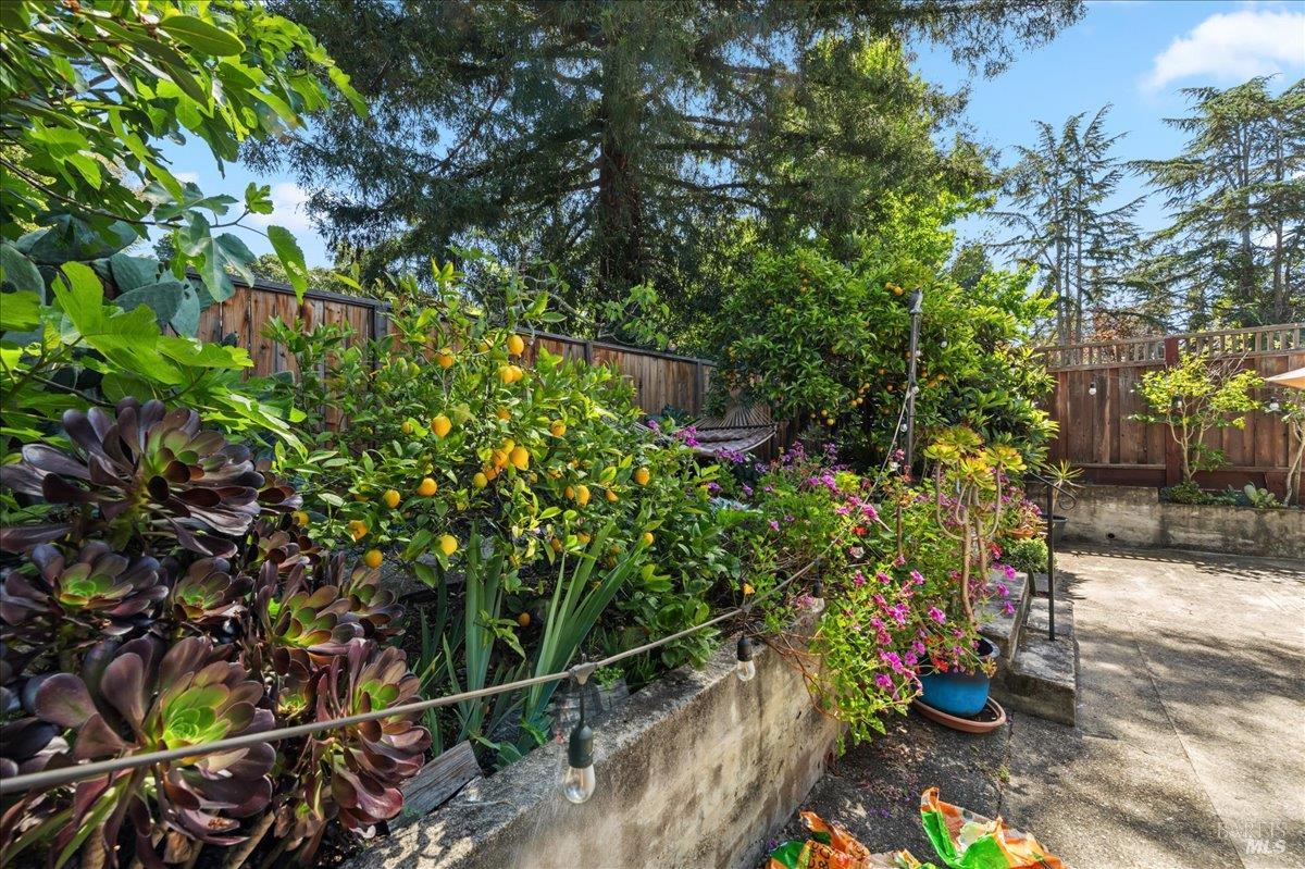 3306 Jordan Road Oakland, CA 94602 - Photo 28 of 41