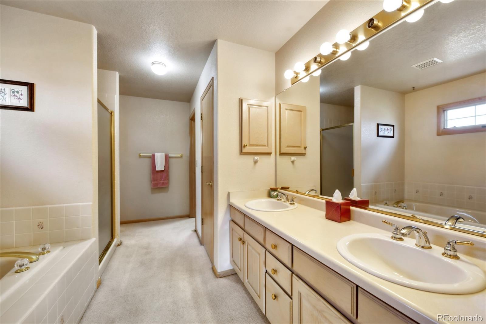 4823 Greenwich Place Highlands Ranch, CO 80130 - Photo 21 of 28 a spacious bathroom with a double vanity sink and a mirror