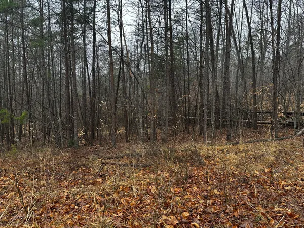 $5,500 | Tbd Lauren Mill Drive, Fieldale, VA 24089