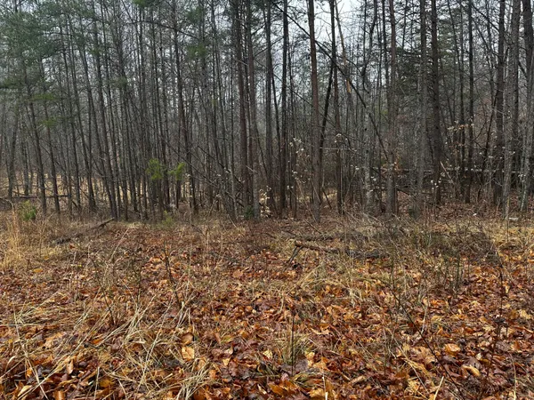 $5,500 | Tbd Lauren Mill Drive, Fieldale, VA 24089