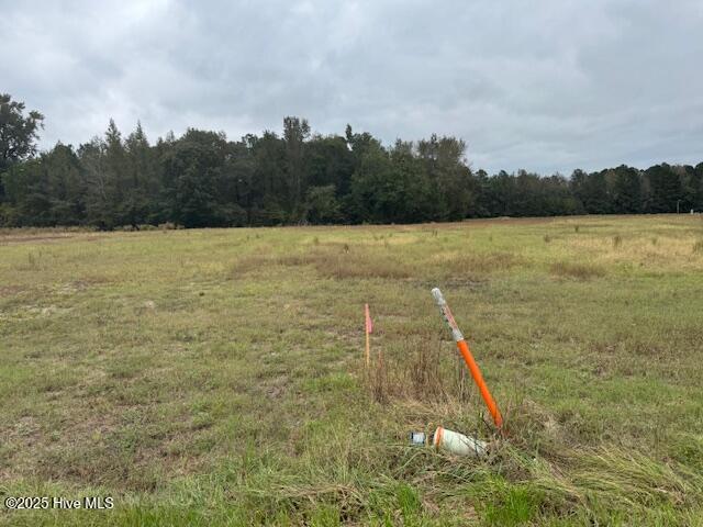 5570 River Road Vanceboro, NC 28586 - Photo 4 of 4 Center of lot along road frontage