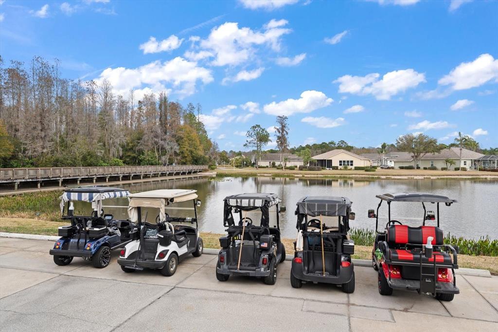 1237 Rambling Vine Court Trinity, FL 34655 - Photo 59 of 76