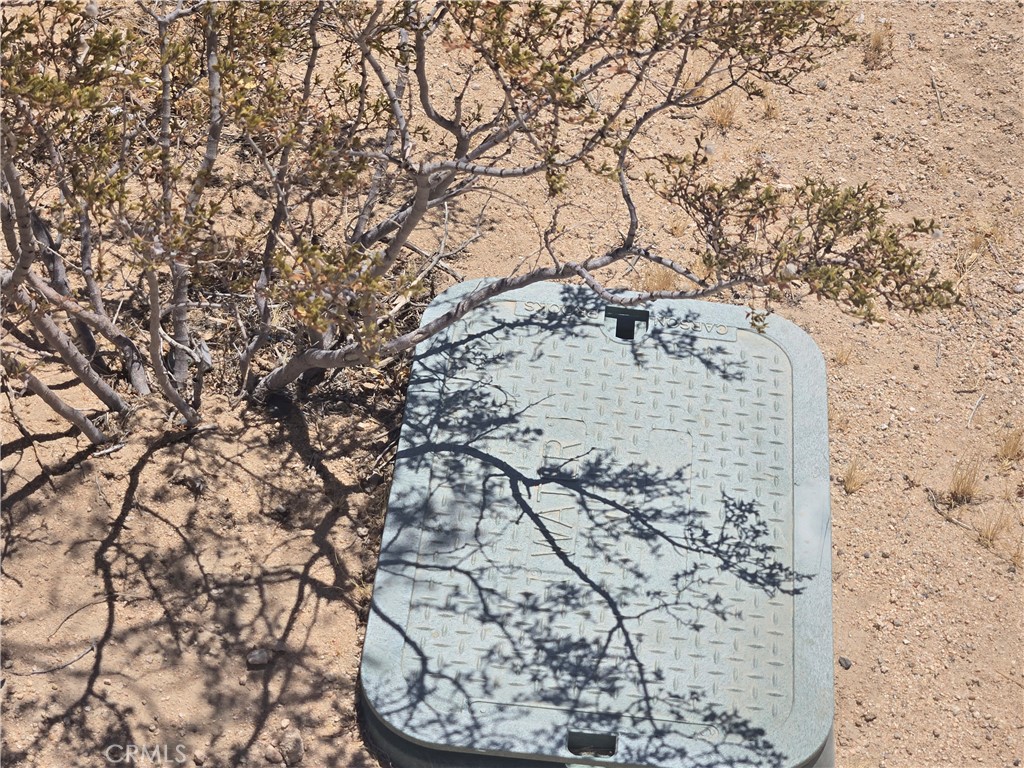 1577 Mc Garry Road Joshua Tree, CA 92252 - Photo 5 of 8