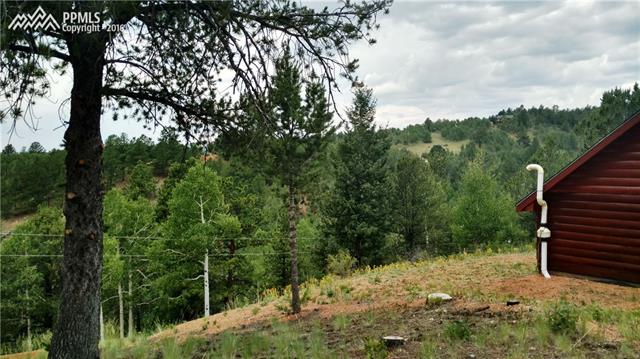 423 Valley Road Divide, CO 80814 - Photo 5 of 28 Gallery Image 5