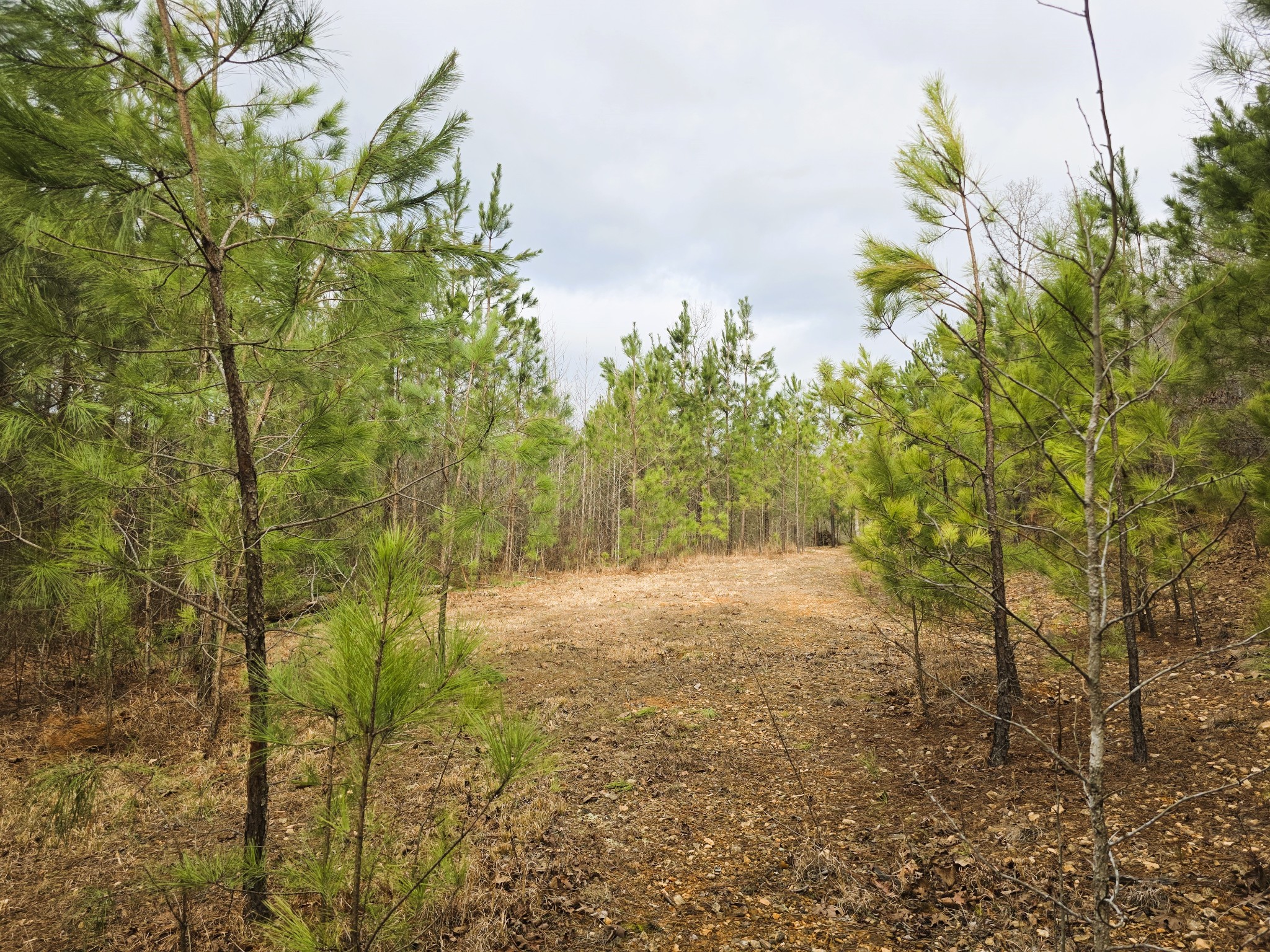 0 Birdsong Road Holladay, TN 38341 - Photo 58 of 70