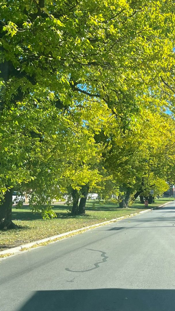 1201 South 15th Avenue Maywood, IL 60153 - Photo 27 of 28 a view of a yard