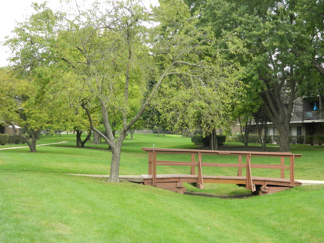 204 East Bailey Road, Unit D Naperville, IL 60565 - Photo 13 of 13