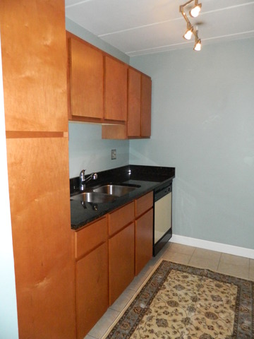 204 East Bailey Road, Unit D Naperville, IL 60565 - Photo 3 of 13
