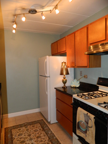 204 East Bailey Road, Unit D Naperville, IL 60565 - Photo 4 of 13