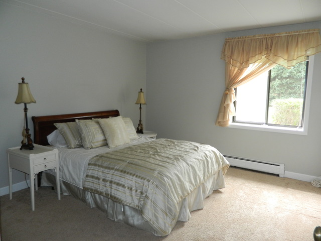 204 East Bailey Road, Unit D Naperville, IL 60565 - Photo 6 of 13