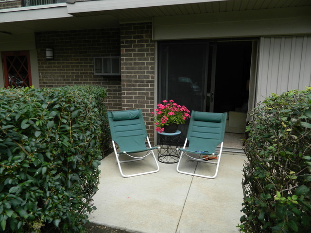 204 East Bailey Road, Unit D Naperville, IL 60565 - Photo 9 of 13