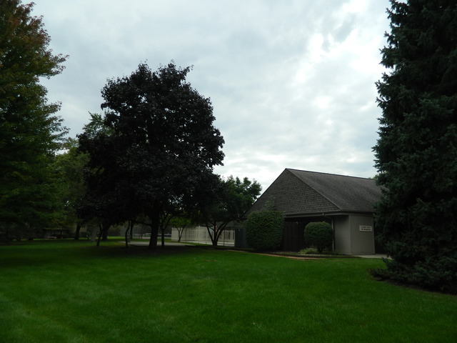 204 East Bailey Road, Unit D Naperville, IL 60565 - Photo 10 of 13