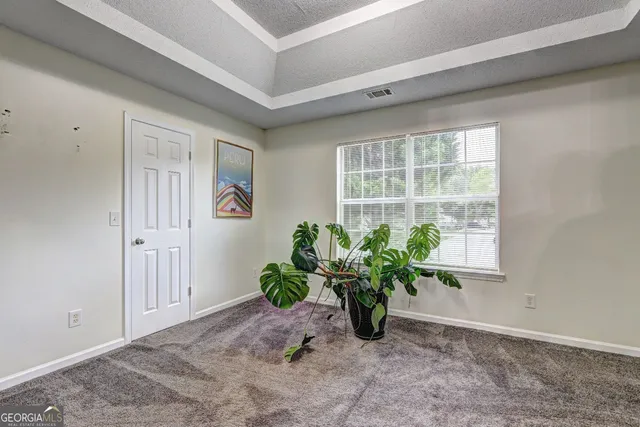 a hallway with painting and a potted plant