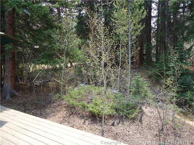 1776 Soda Ridge Road Keystone, CO 80435 - Photo 23 of 25 Gallery Image 23