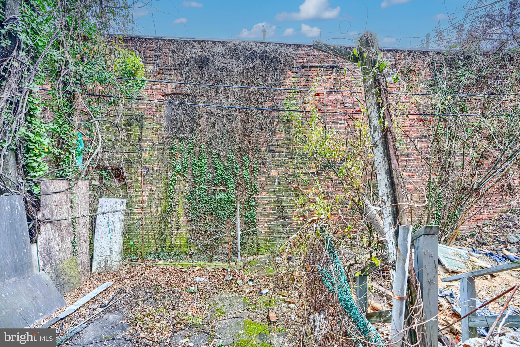 1312 Aisquith Street Baltimore, MD 21202 - Photo 25 of 25 a view of a garden