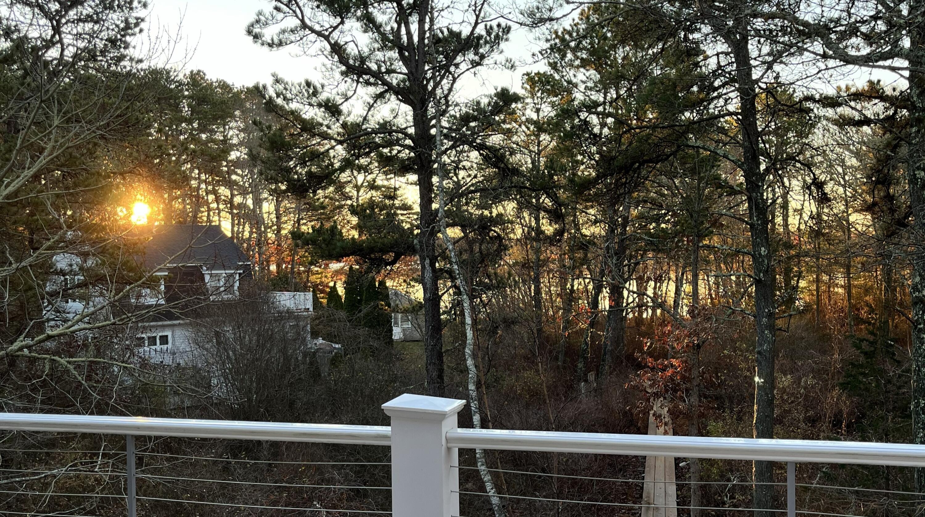 9 Horseshoe Bend Way Mashpee, MA 02649 - Photo 54 of 60 a view of a yard from a window