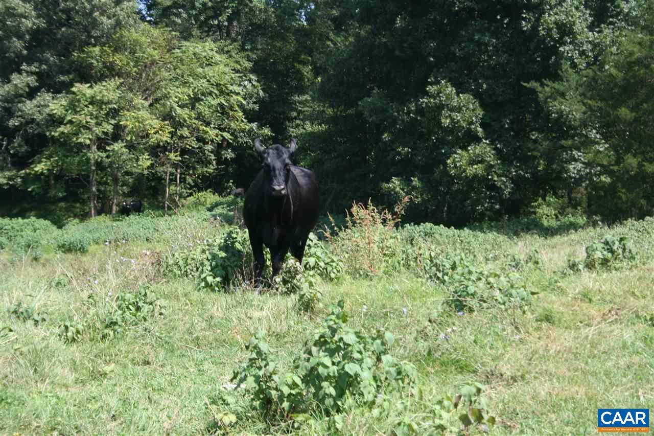 1341 Orange Road Madison, VA 22727 - Photo 30 of 30 Gallery Image 30