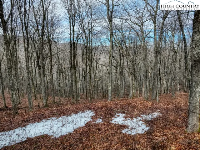 a view of backyard with green space
