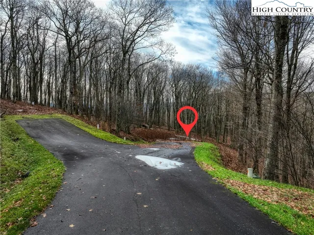 a street view with large trees