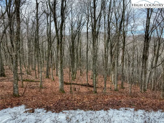 a view of outdoor space with lots of trees