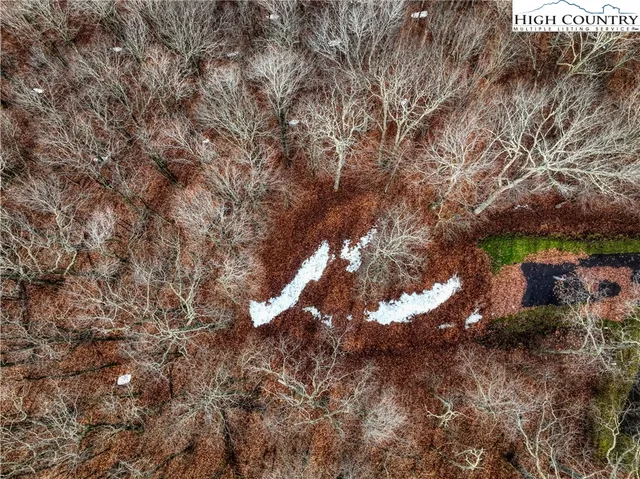 a view of a tree in a yard