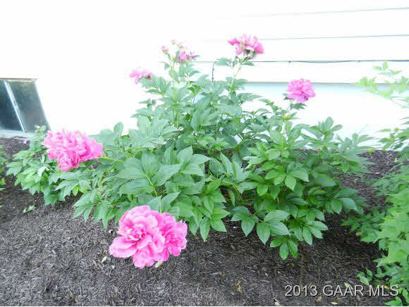 48 Buttermilk Road Mount Sidney, VA 24467 - Photo 23 of 24 a pink plant in front of a yard