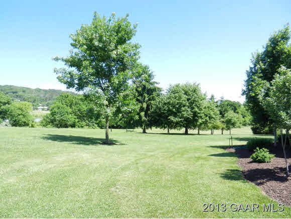48 Buttermilk Road Mount Sidney, VA 24467 - Photo 6 of 24 a big yard with lots of green space and trees