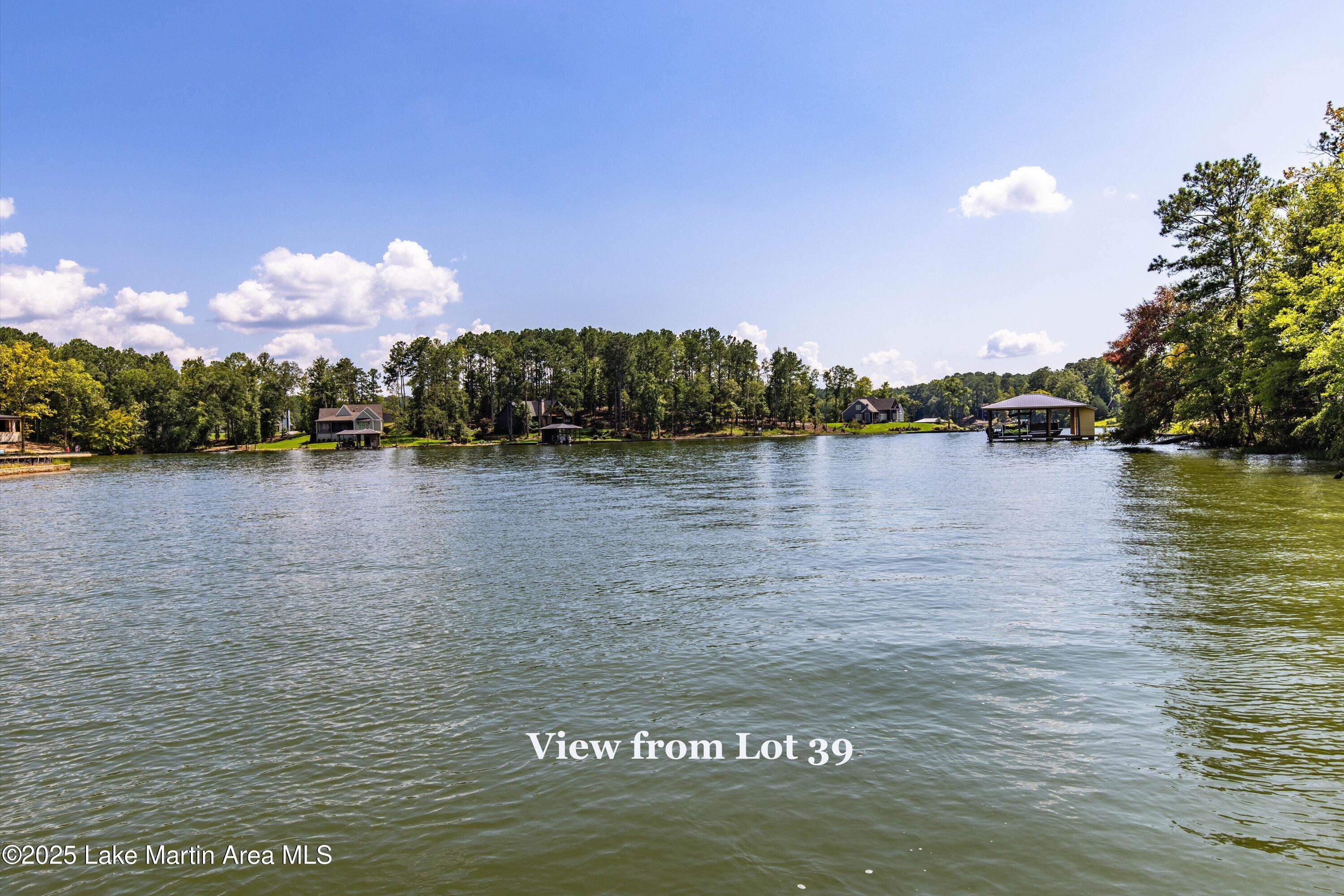 2411 Sturdivant Road Jacksons Gap, AL 36861 - Photo 1 of 1 07-Lot 39 view