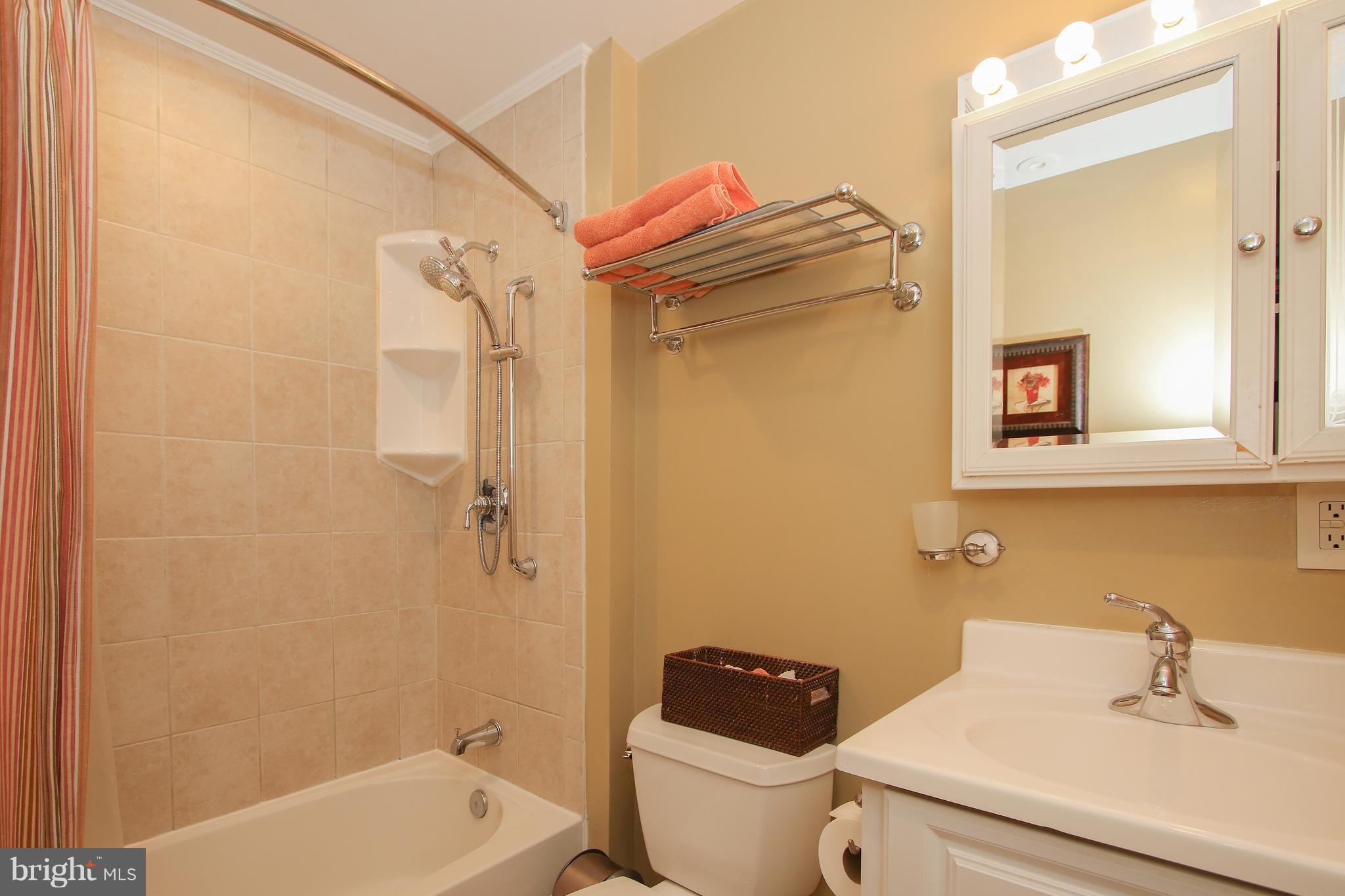 4318 River Road Northwest Washington, DC 20016 - Photo 20 of 29 Bath