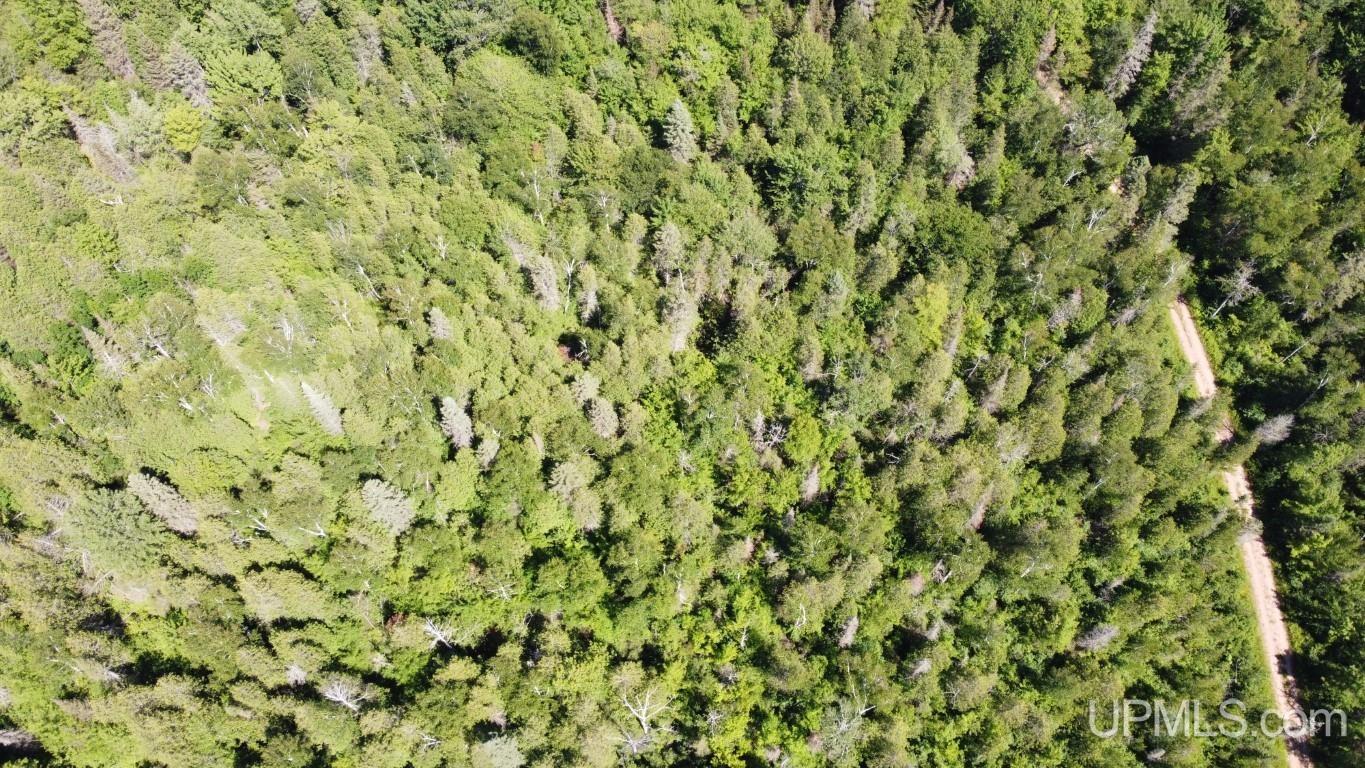 Tbd Tbd Stack Grade Little Lake Rock, MI 49880 - Photo 28 of 45