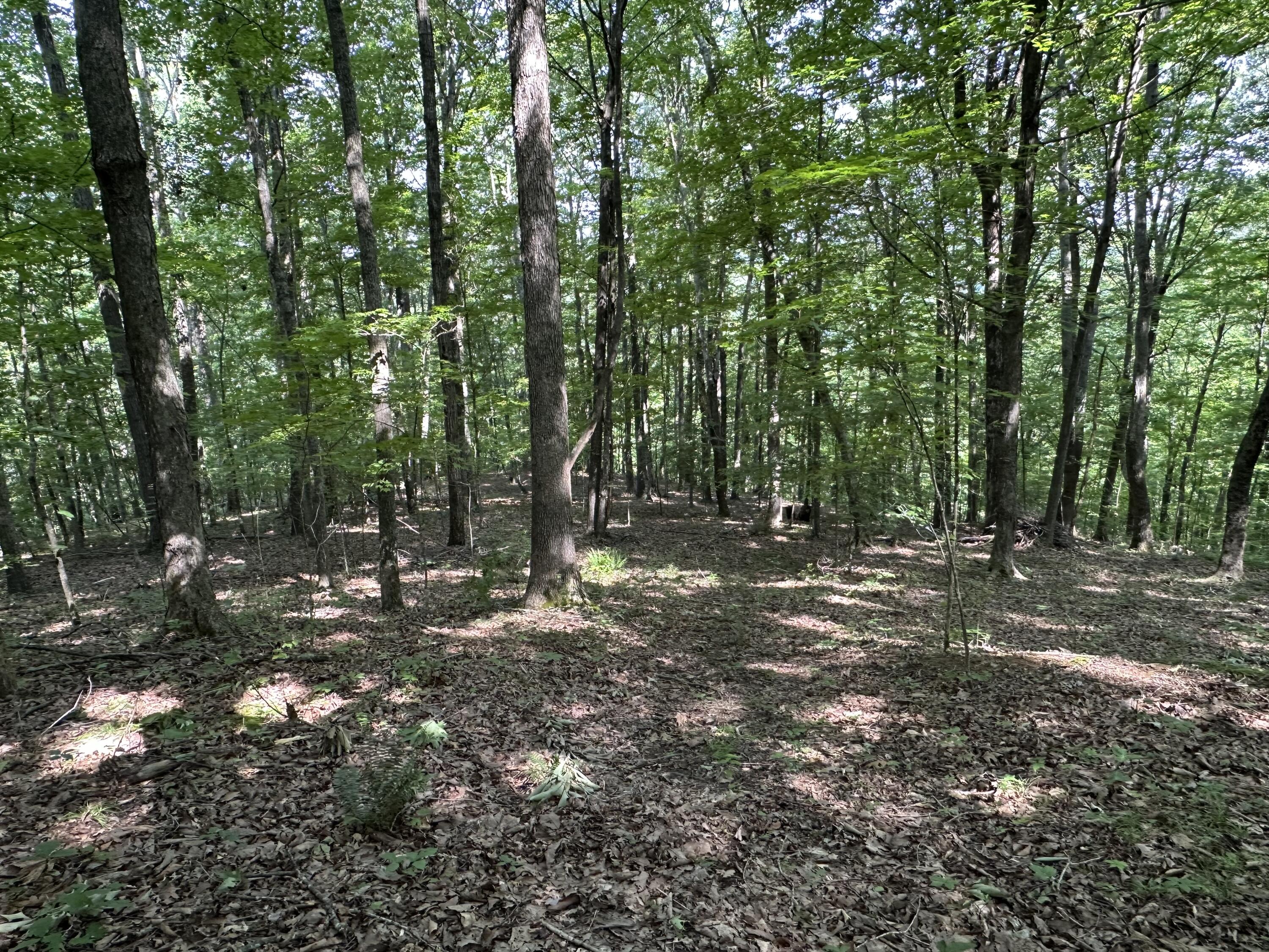 7360 Public Road Somerset, KY 42503 - Photo 64 of 75 IMG_4564
