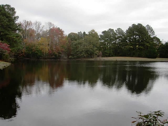7537 Channery Way, Unit LT39 Raleigh, NC 27616 - Photo 15 of 16 Community Fishing Pond