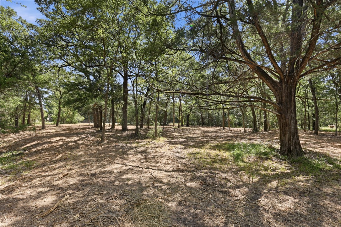 Tbd Grassbur Road Bryan, TX 77808 - Photo 5 of 18