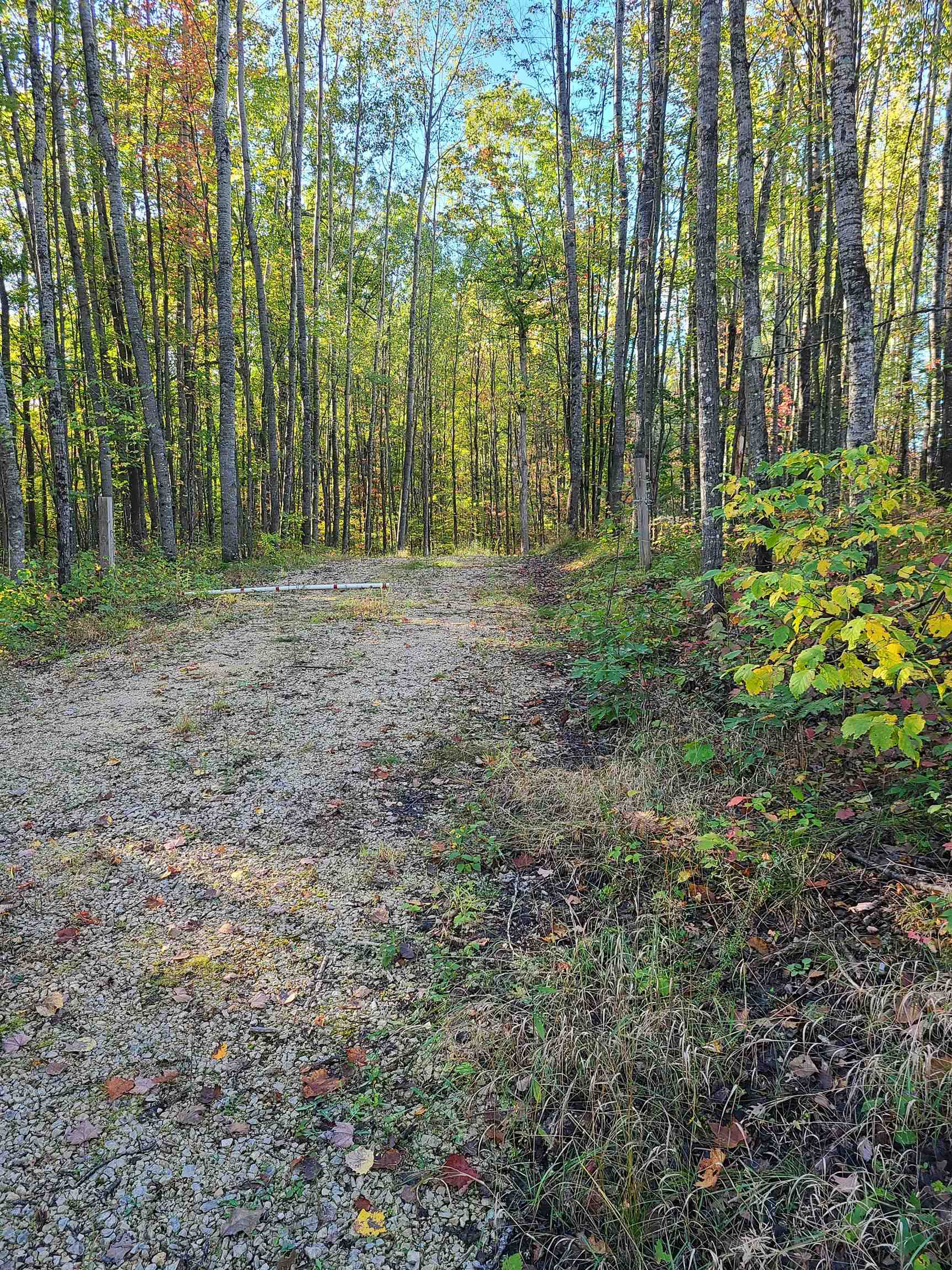 W10995 Bennett Road Amberg, WI 54102 - Photo 1 of 1 Gallery Image 1