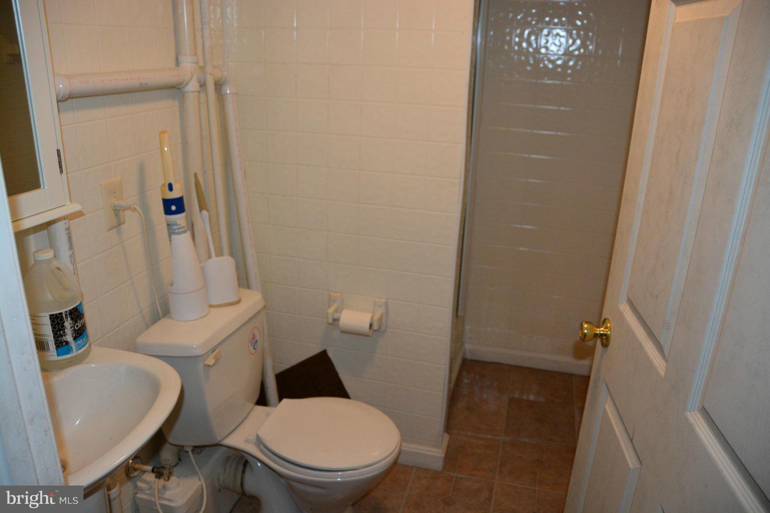 657 Ruebuck Road Bunker Hill, WV 25413 - Photo 17 of 30 Basement bath has shower