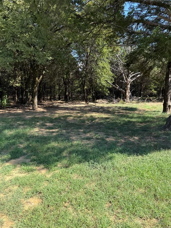 474 Needham Road Pottsboro, TX 75076 - Photo 40 of 40 a big yard with lots of green space and trees