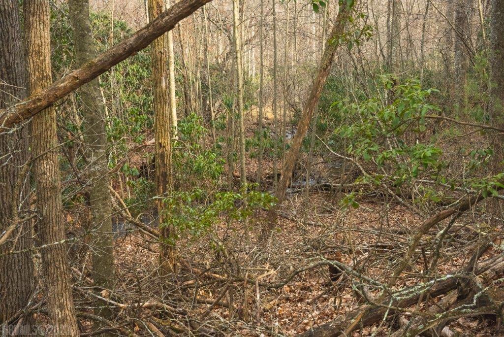3 Long Mountain Road Southwest Willis, VA 24380 - Photo 58 of 66 Gallery Image 58