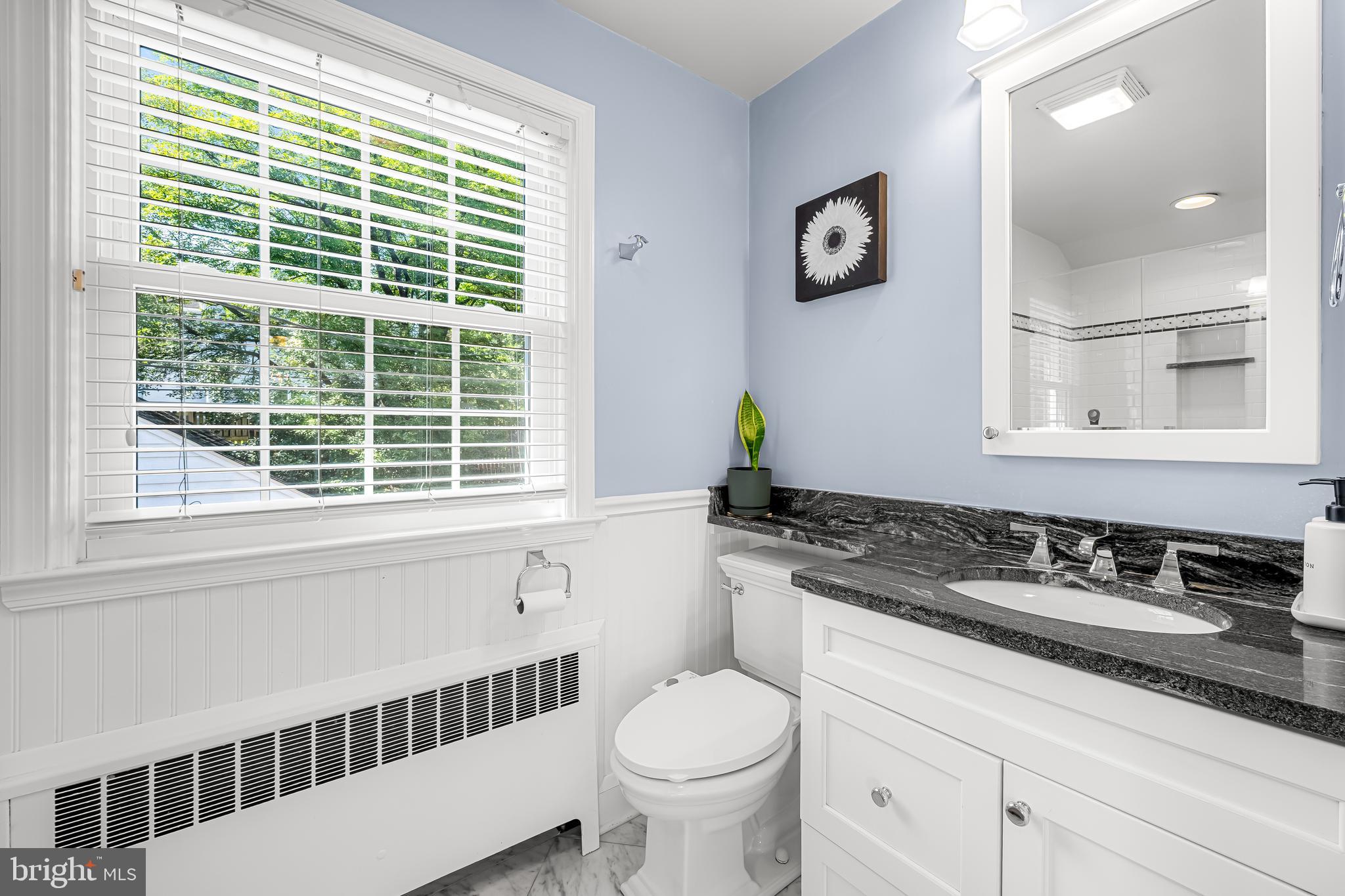 515 Yarmouth Road Baltimore, MD 21286 - Photo 19 of 44 a bathroom with a granite countertop sink and a toilet