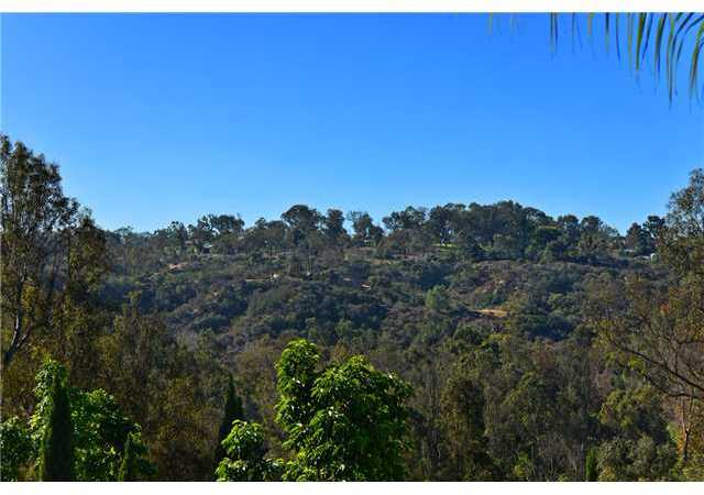 15906 Via Pato Rancho Santa Fe, CA 92067 - Photo 3 of 13 views surrounding property