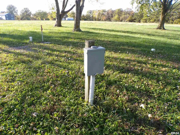 a view of a grassy field with trees