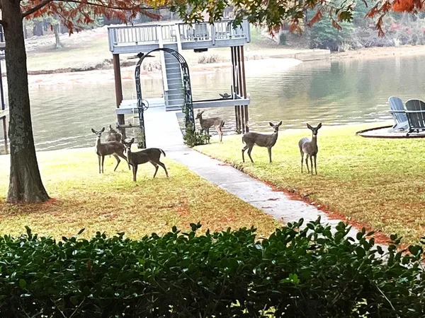 $699,000 | 186 Bushwhacker Drive, Mabank, TX 75156