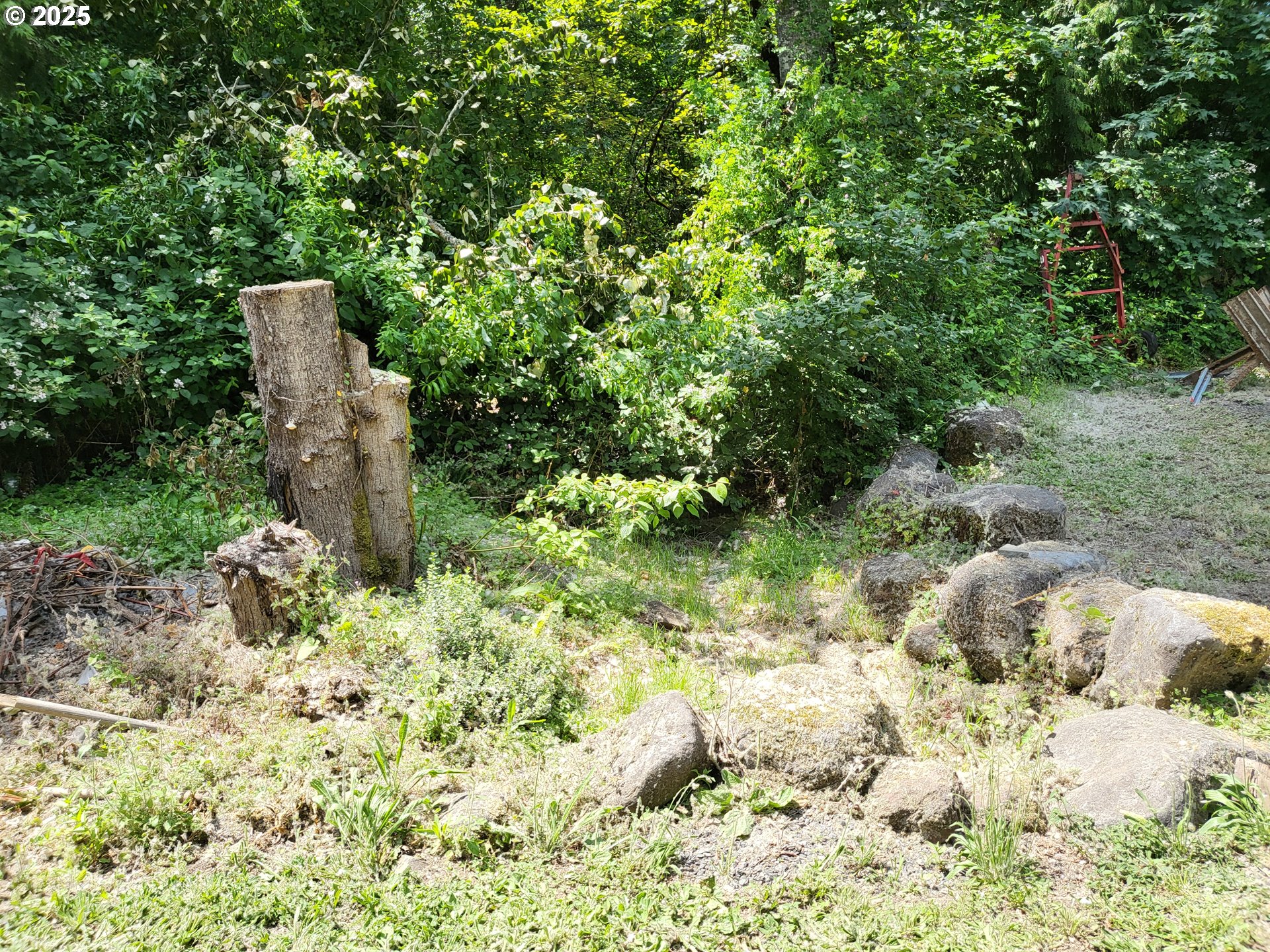 32141 Southeast Mally Road Gresham, OR 97080 - Photo 23 of 36 a view of a garden with a tree